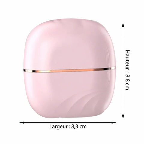 mini lisseur compact anti frisotti lunea rose
